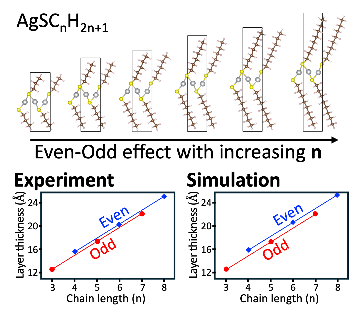 Birefringent color filter collaboration