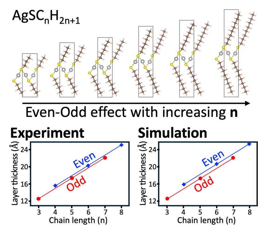 Birefringent color filter collaboration