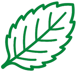 MINT Lab leaf logo